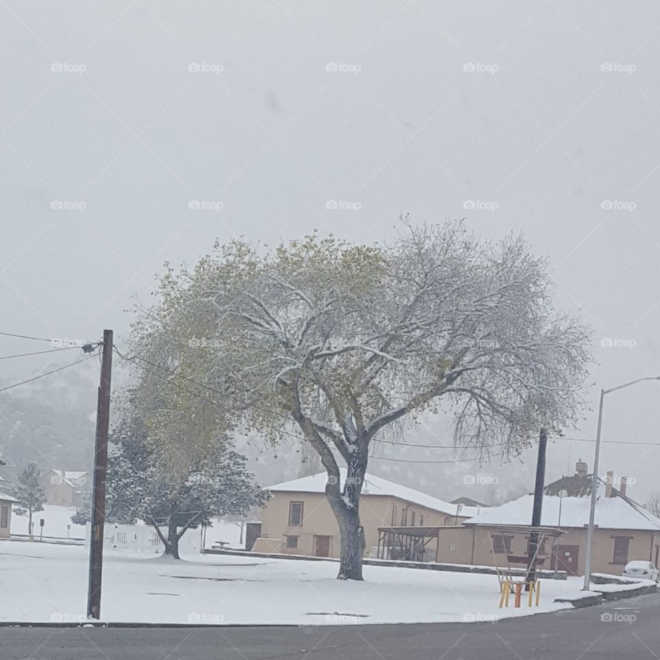 snow in southern AZ