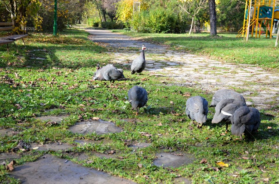 In the City Park