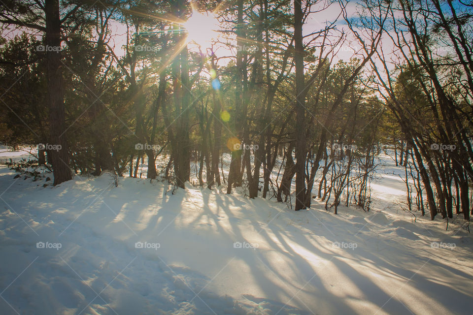 Hiking around Marshall Lake after a freshly fallen snow