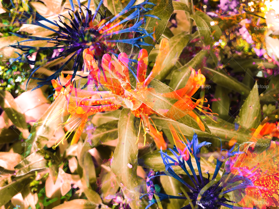 Spike of bold colours 