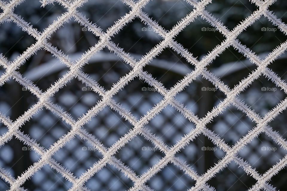 Metal mesh fence in frost