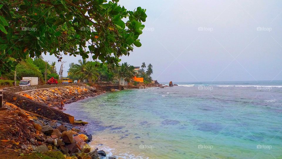 Sea side beauty