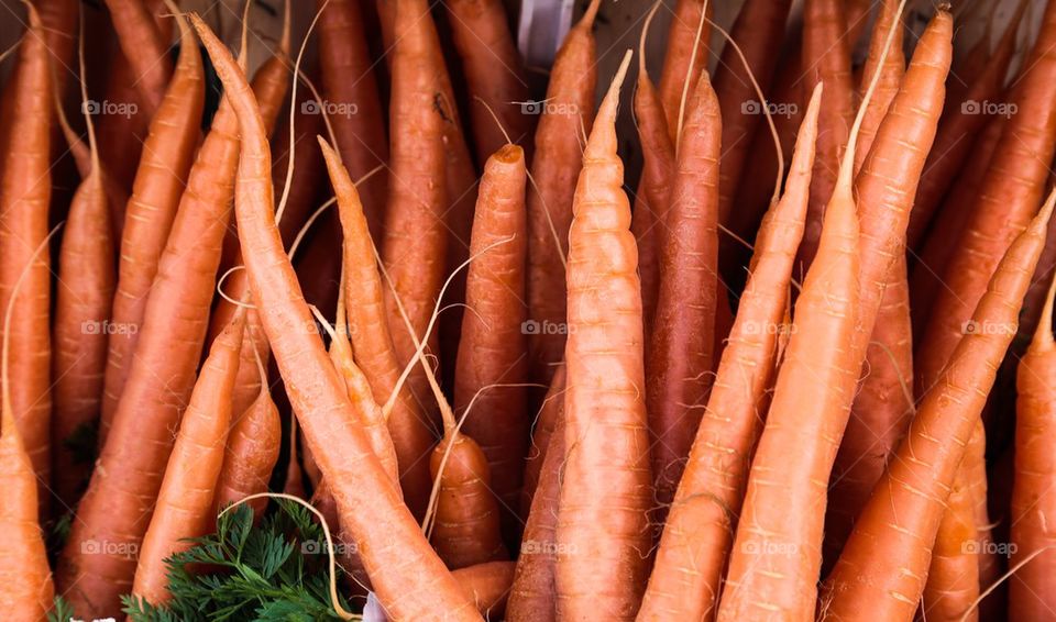 Extreme close-up of carrots