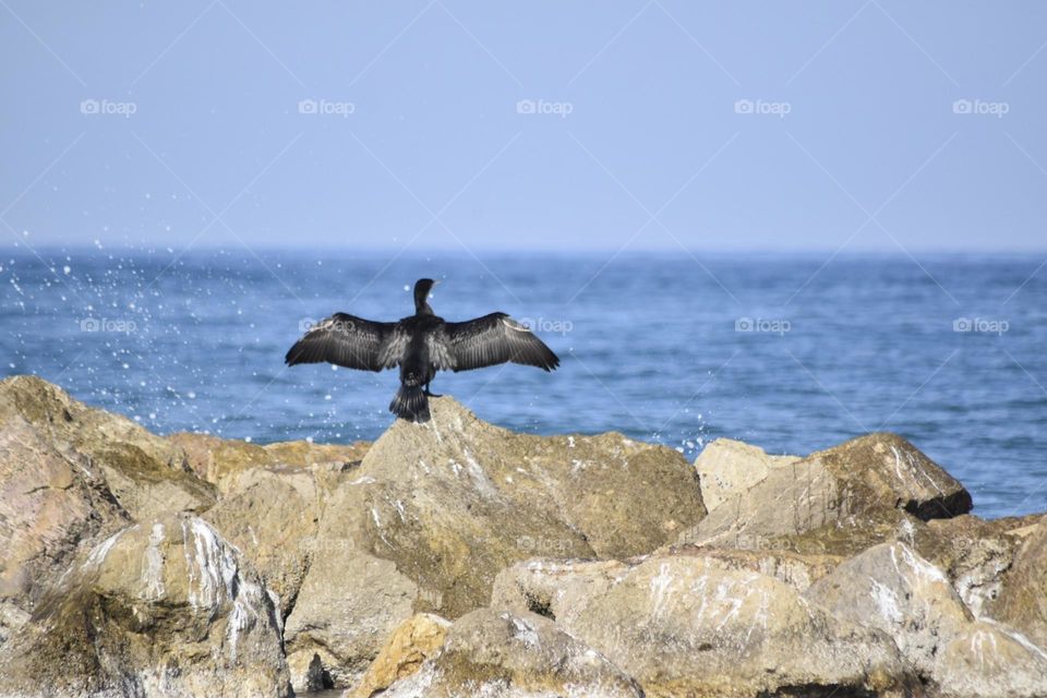 no hay dioses que me parre