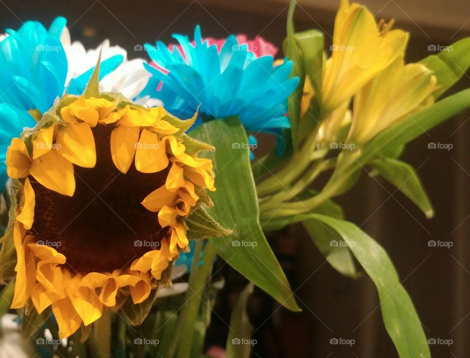 Flowers from my Sweetie