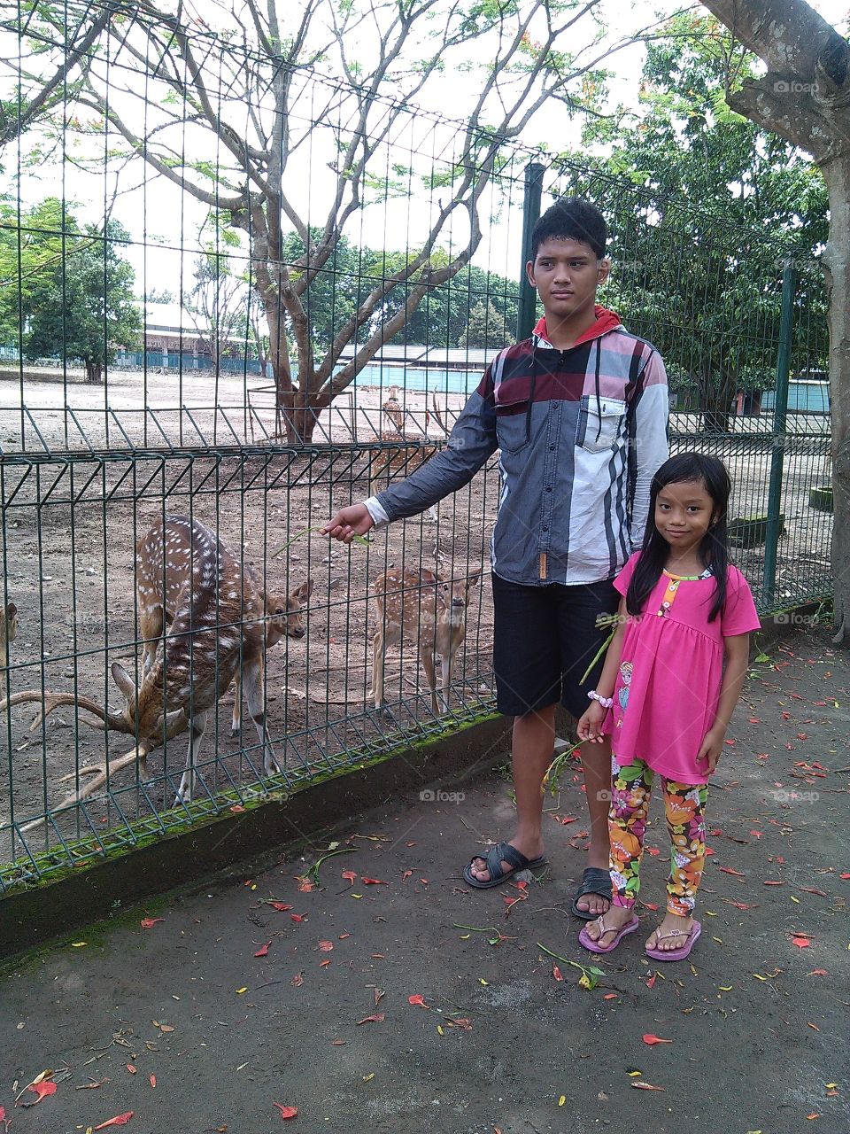 Prambanan Temple