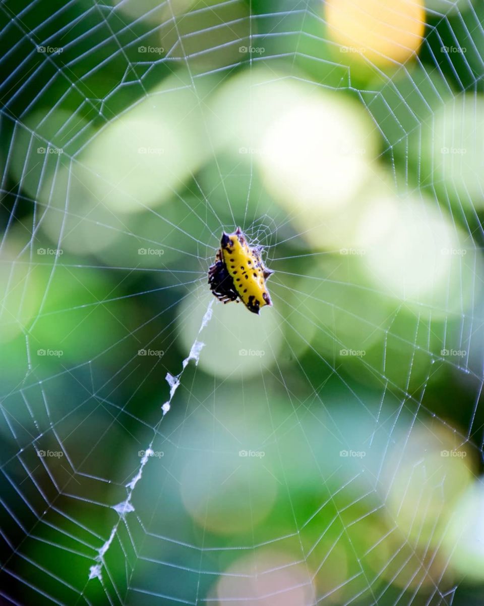 A natureza na sua plenitude!