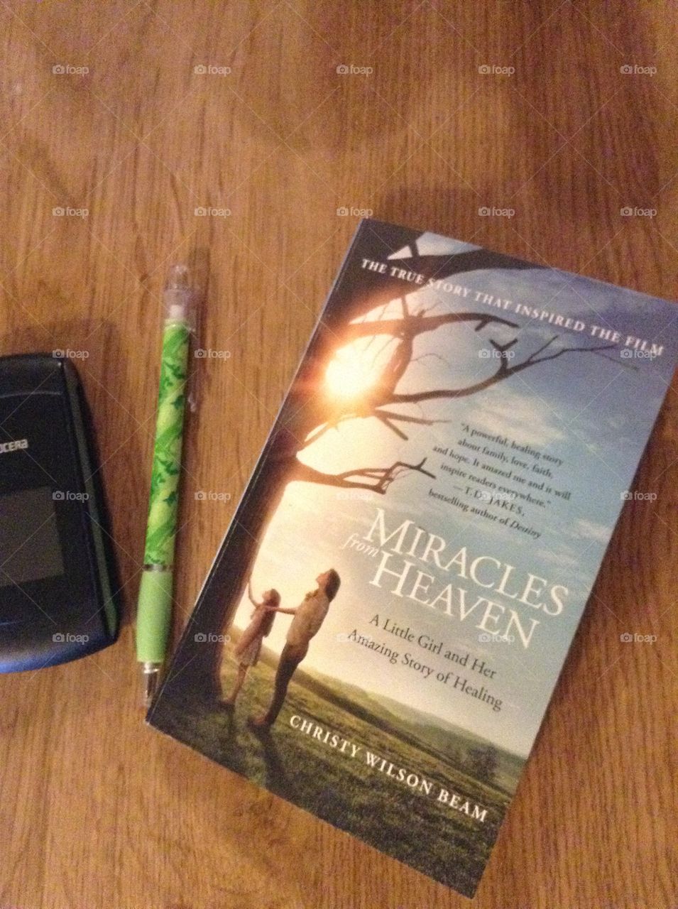 Miracles from heaven book