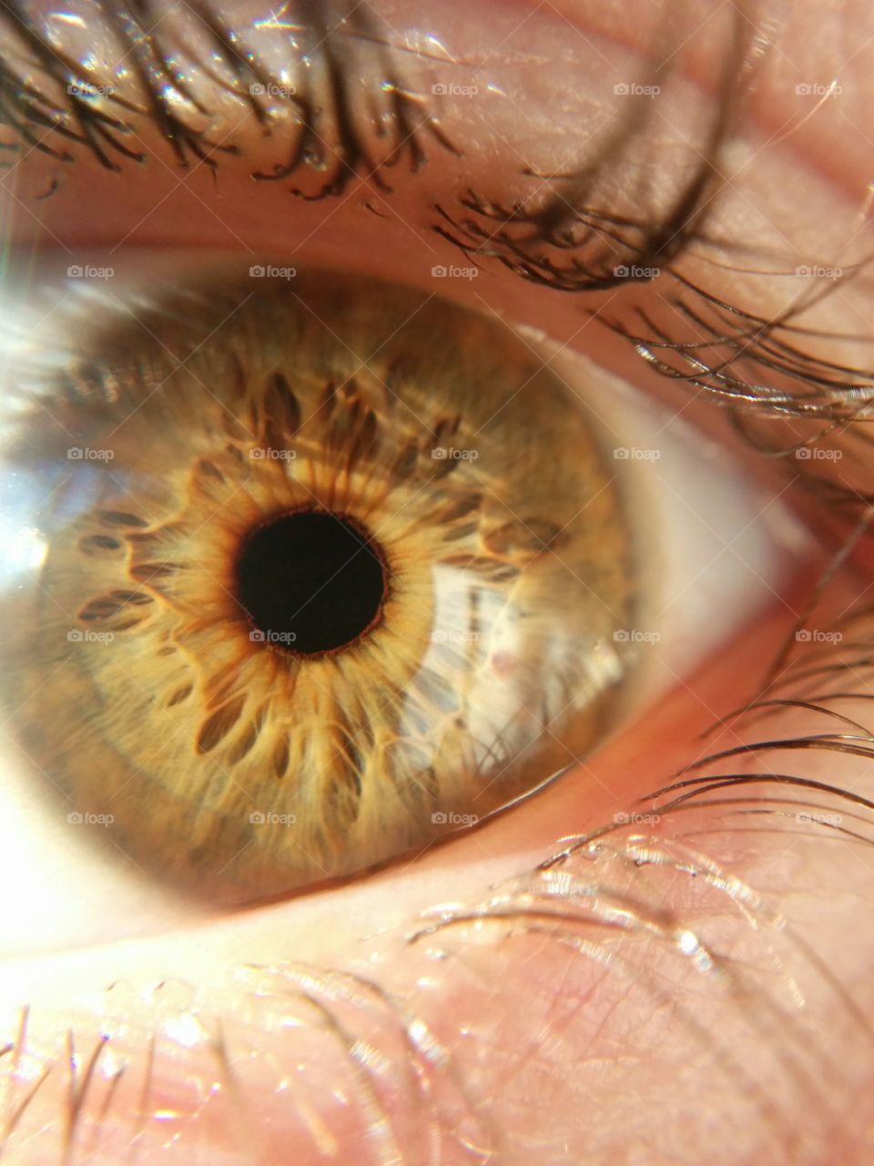 Extreme close-up of a human eye