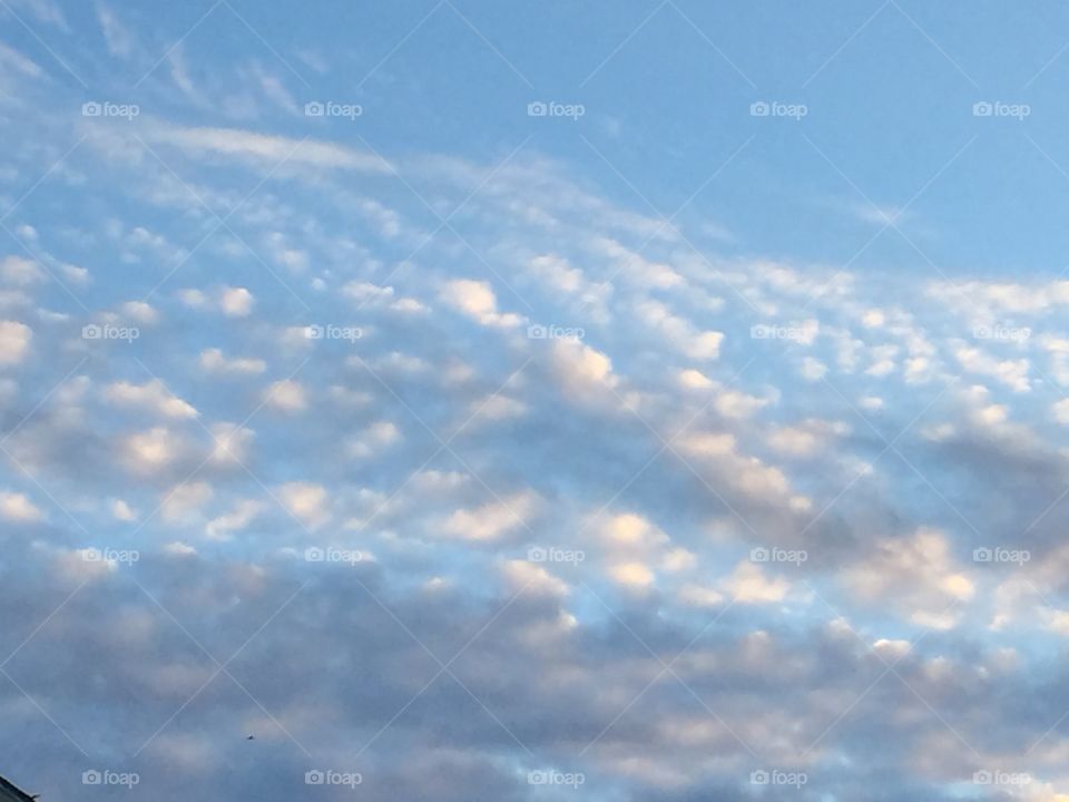 Clouds on a cold day.