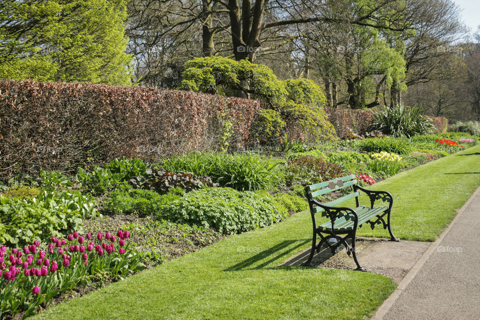 Green bench in the Bute Park in Cardiff, Wales, UK