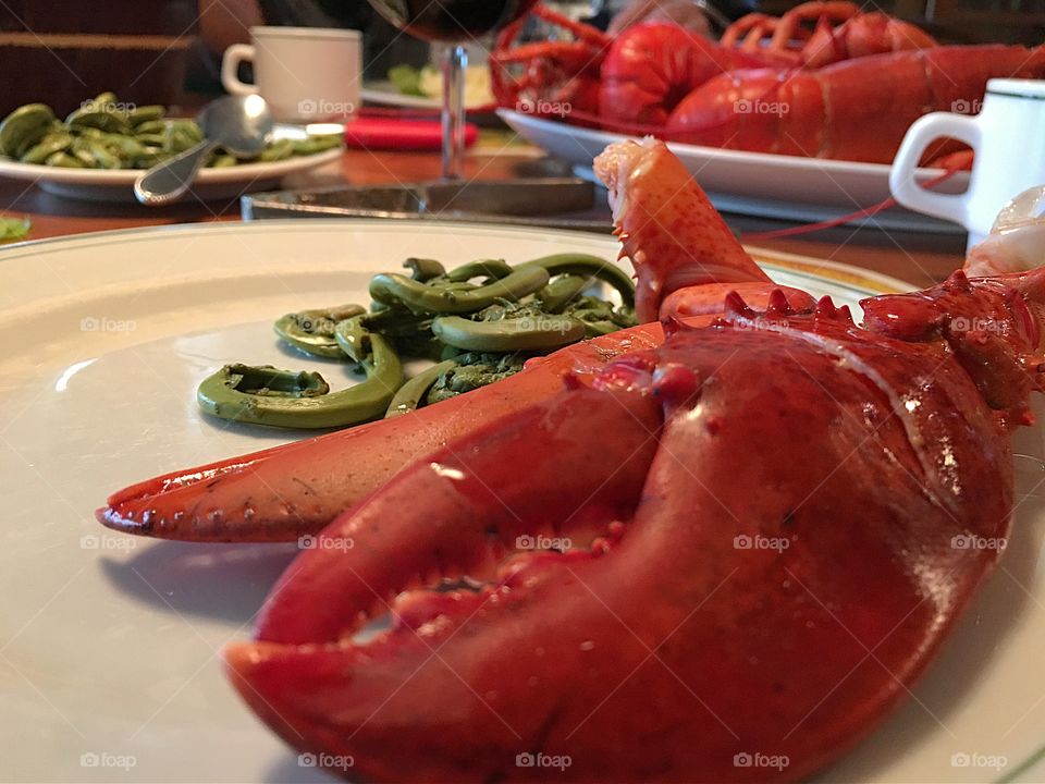 Fresh cooked lobster dinner with fresh picked steamed wild fiddleheads side 