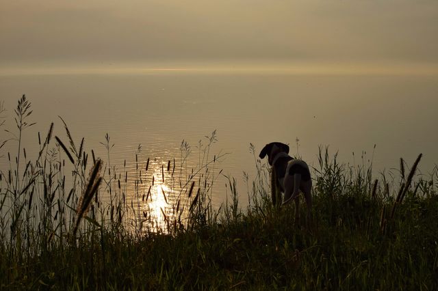 Sunrise Hike