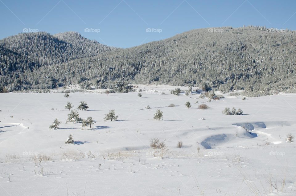 Winter landscape From Bulgaria