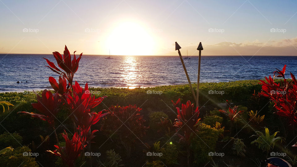 sunset on the beach. sunset in Maui