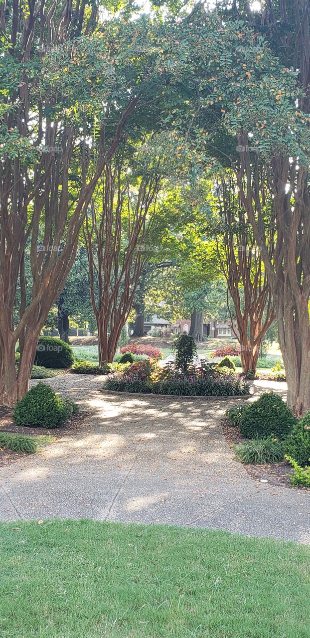 Garden in Memphis. Peaceful in the heart of Midtown.