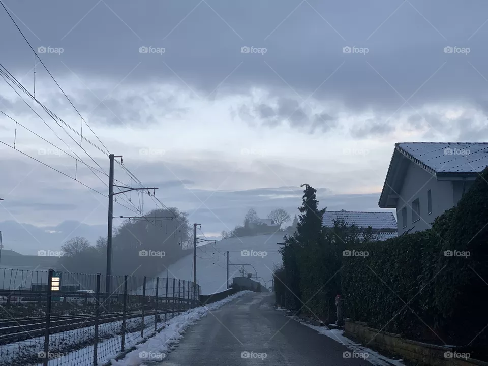 Swiss 
