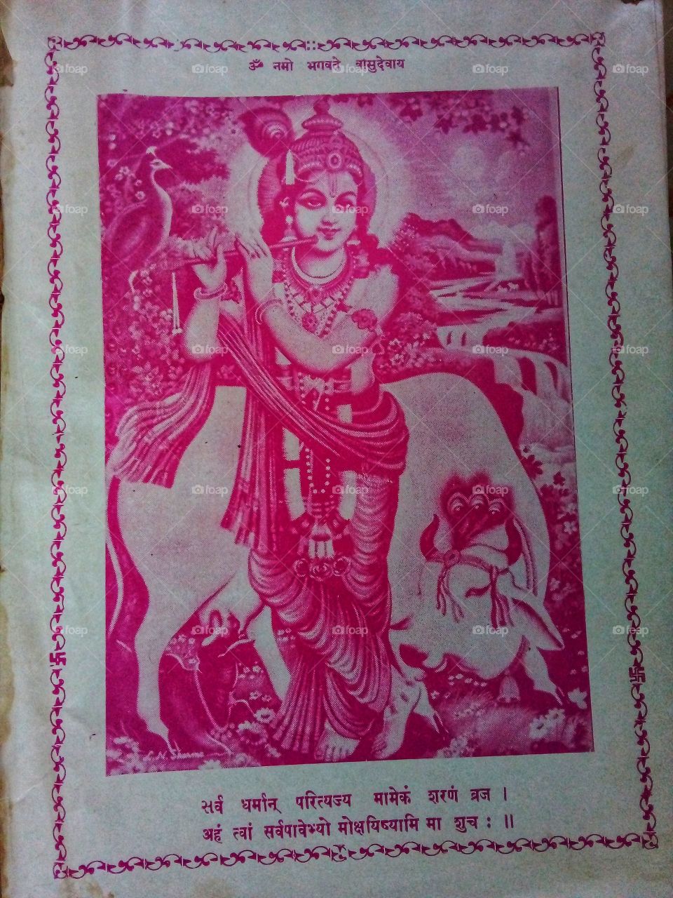Shree krushna with cow and flute