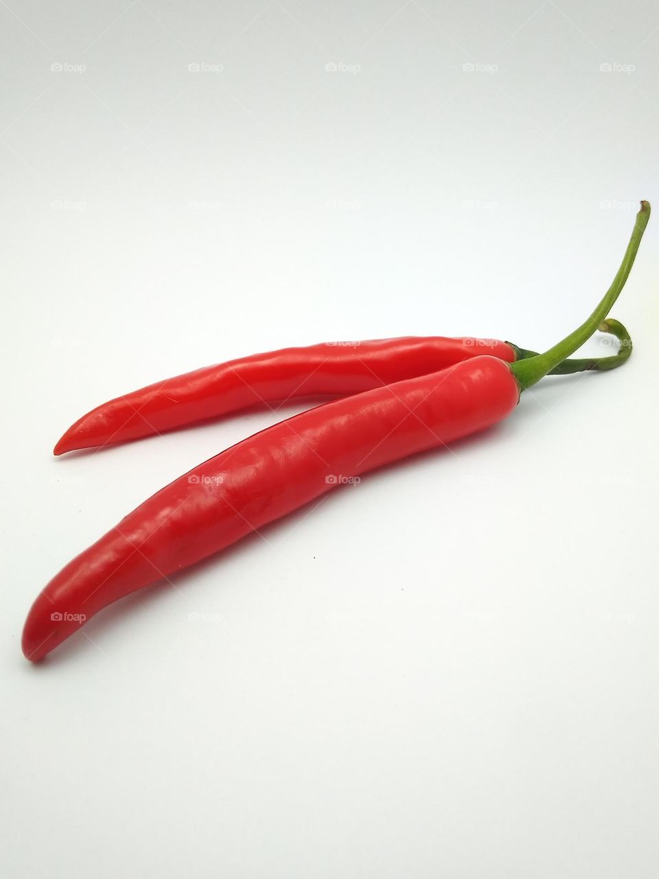 Two sticks of red chili are the basic ingredients of cooking that give a spicy taste to every dish.