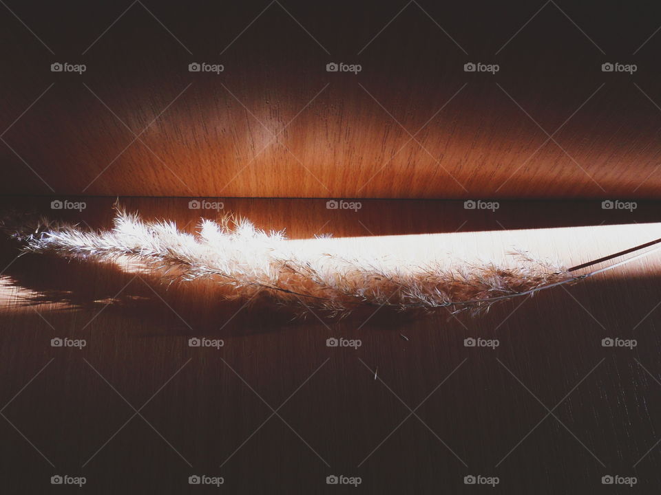 game of shadows and light