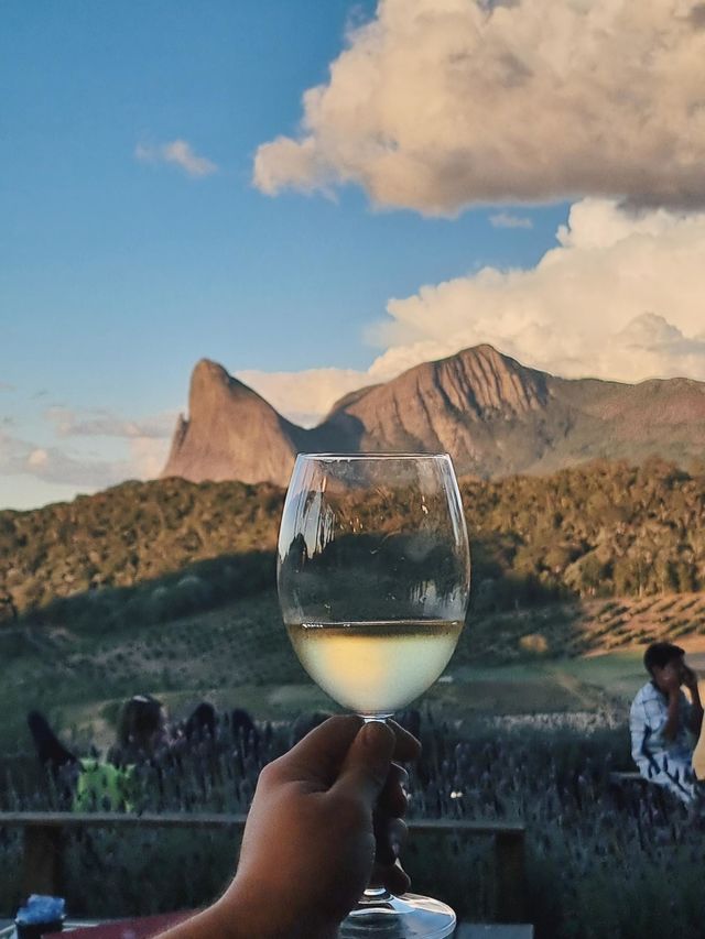wine