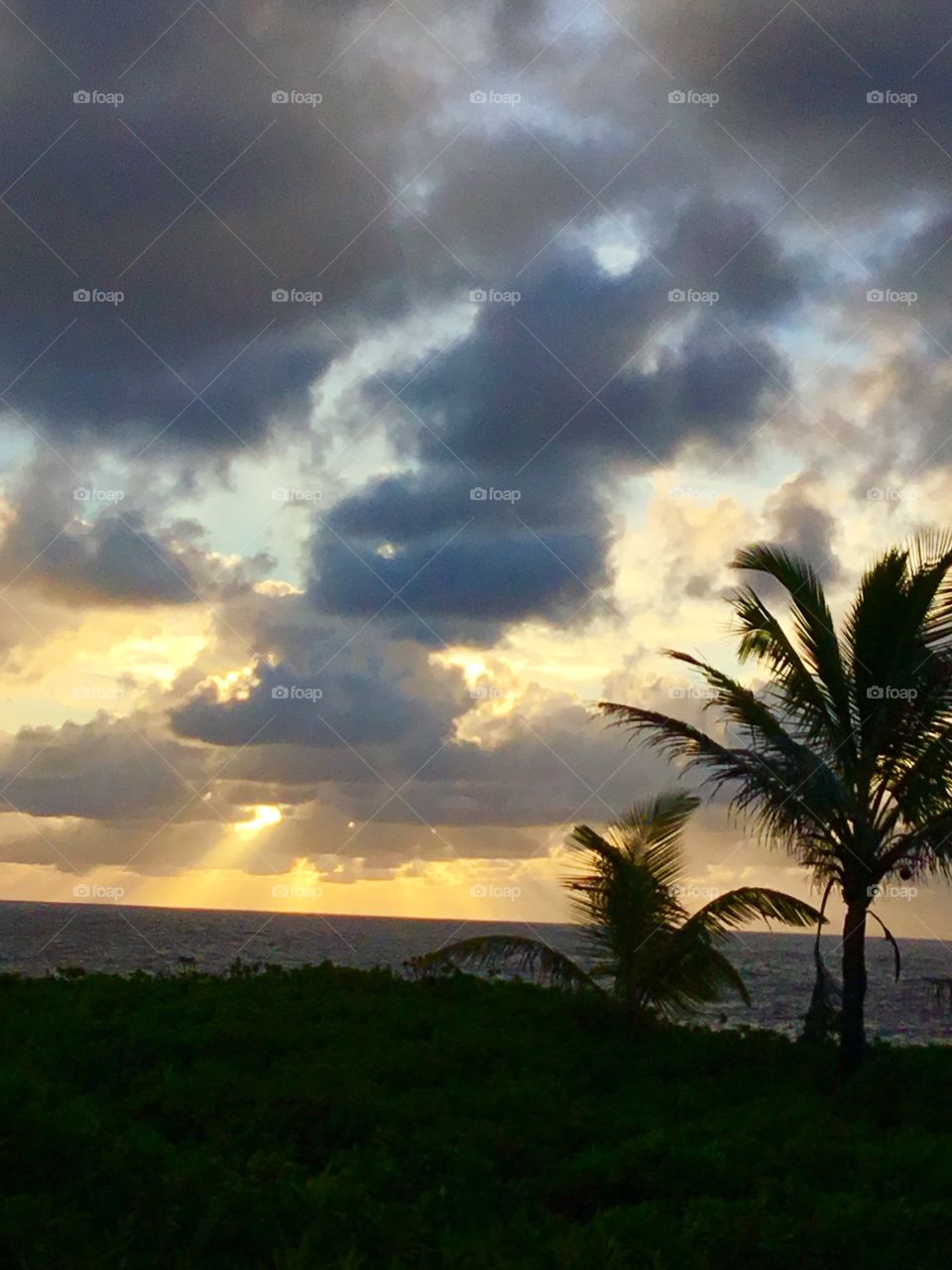 Sunrise by the sea cliffs