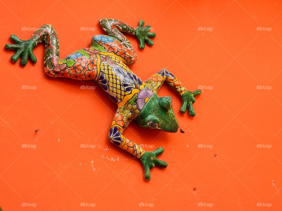 Ceramic Frog on orange wall