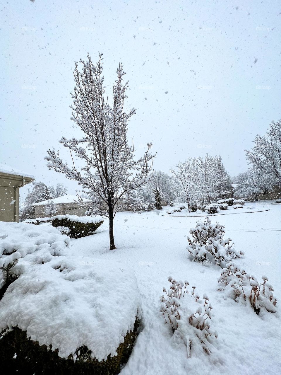 Cold winter storm overnight, falling snow, complete ground coverage