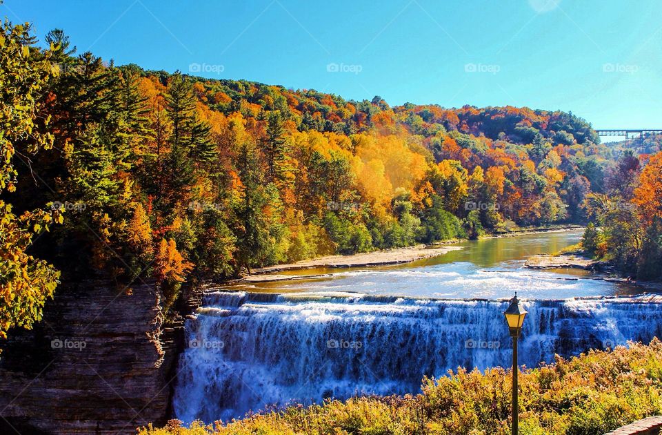 Letchworth state park upstate NY. 