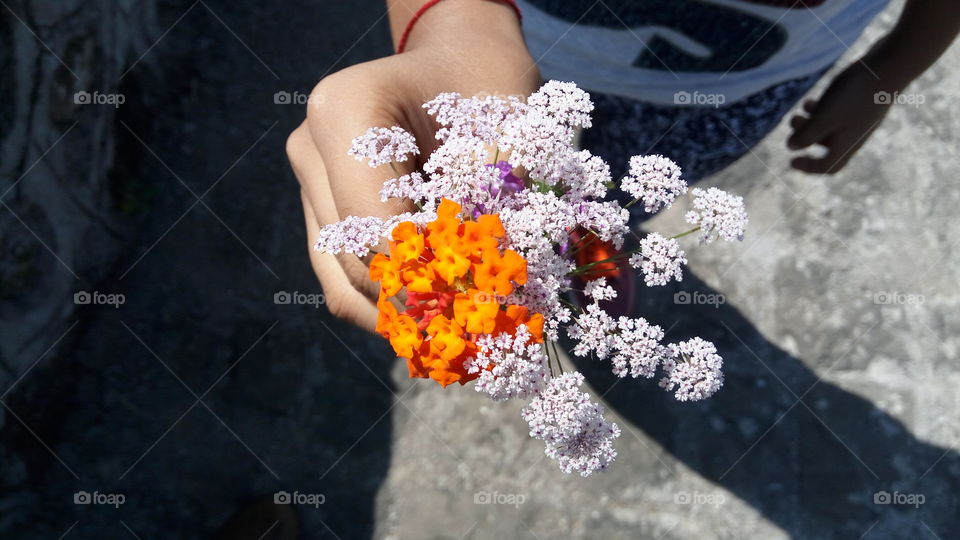 A person holding tiny flowers