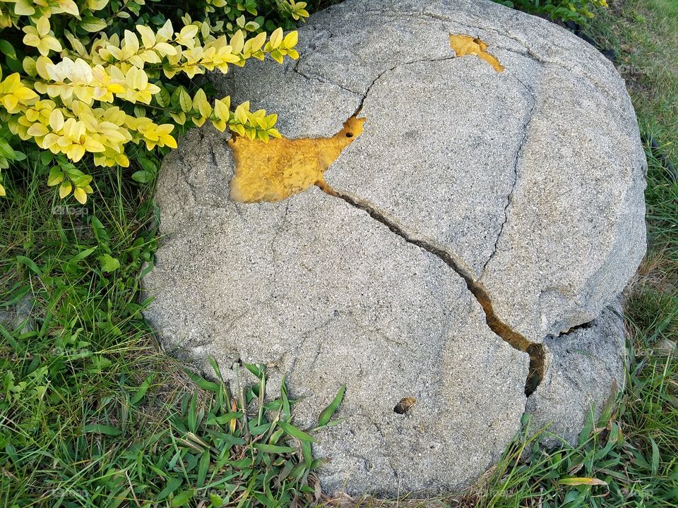 Stone, Grass, No Person, Nature, Leaf
