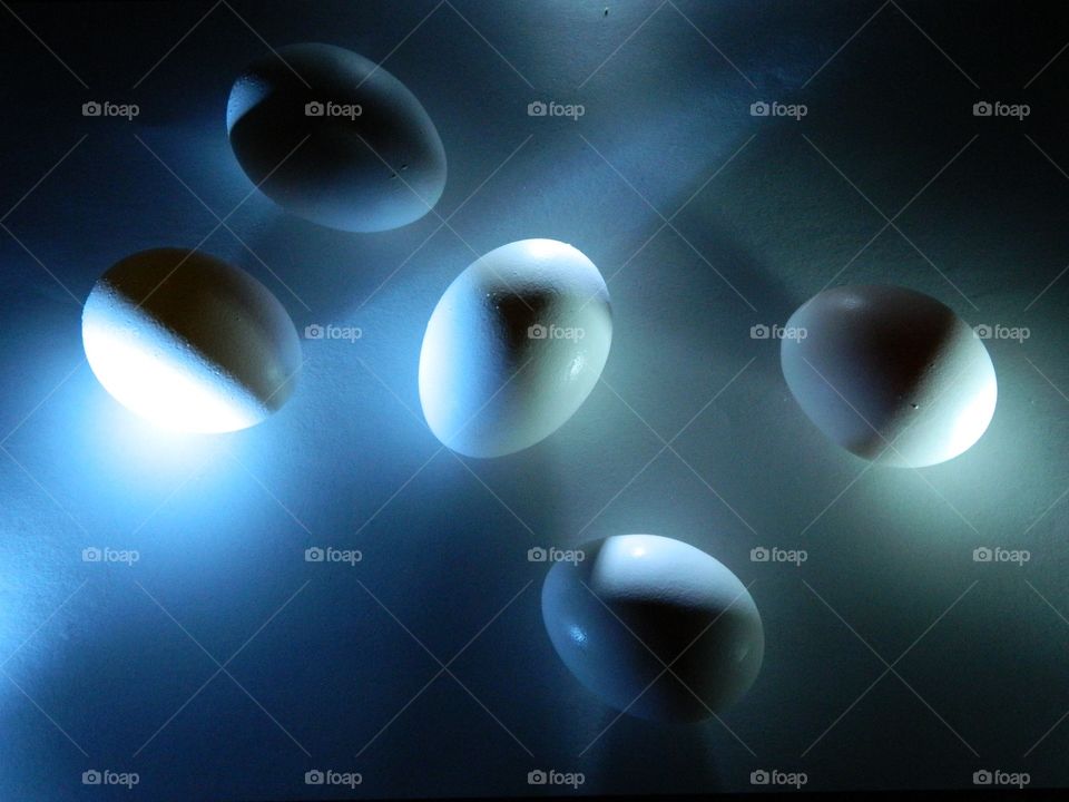 light on eggs