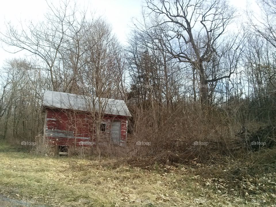 Backroad Barn