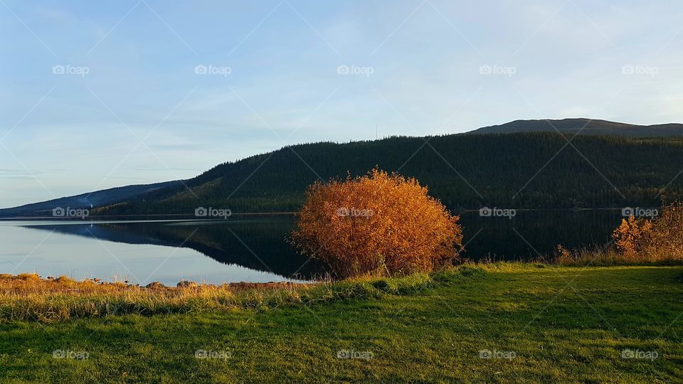Scenic view of lake