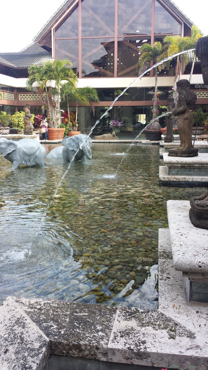 Elephant Fountain