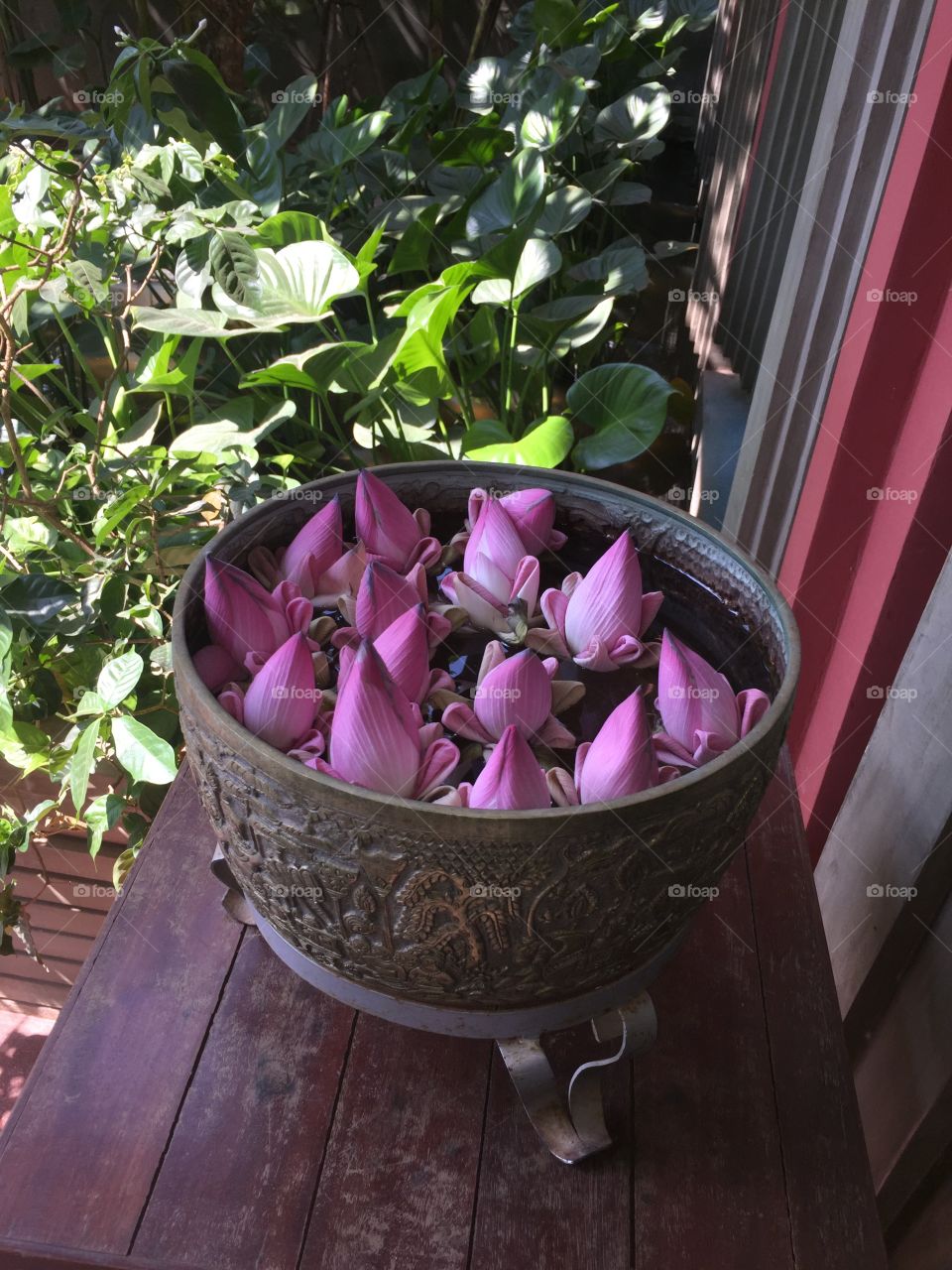 Cambodian Flowers