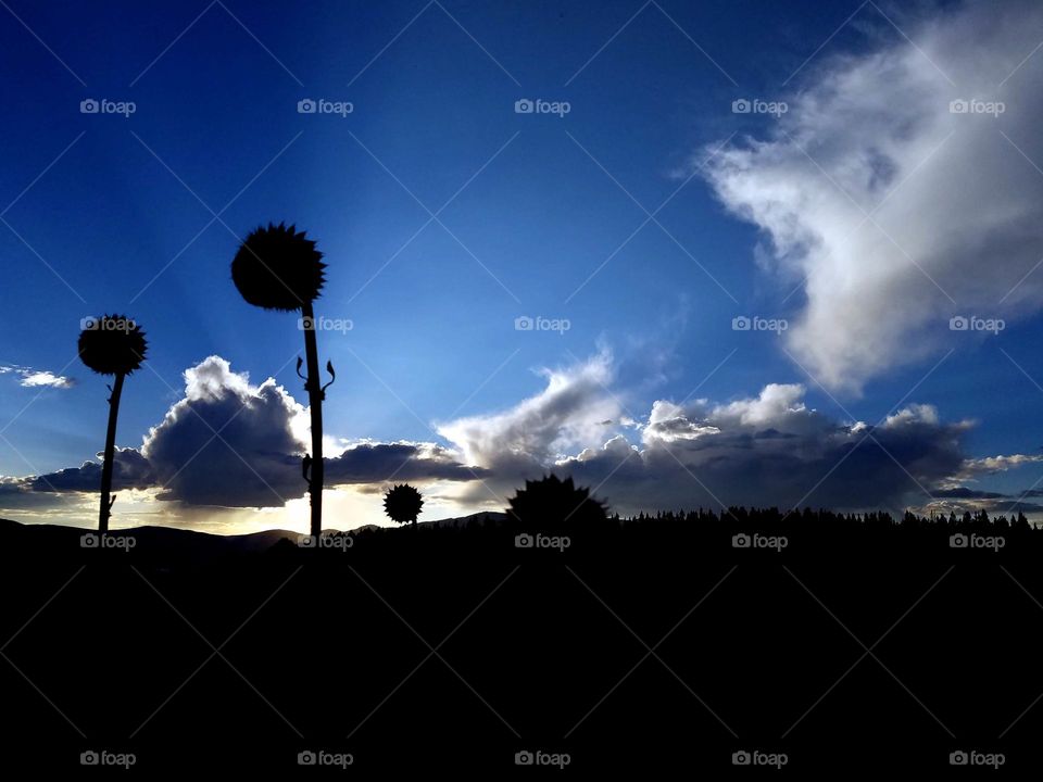 sunset in the  Colorado