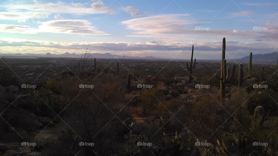 Tucson valley from the Rincons