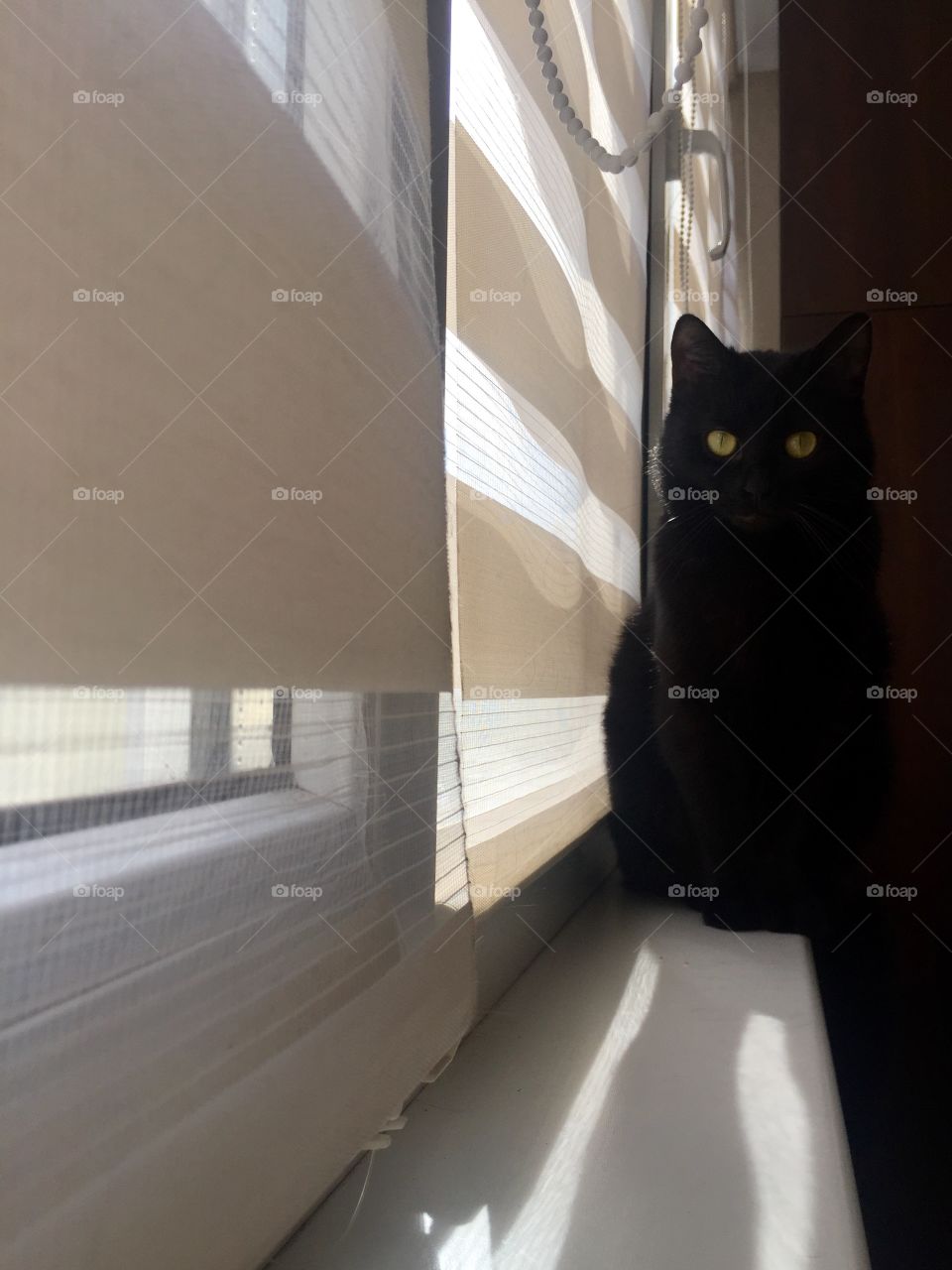 Black cat sitting on a narrow windows sill