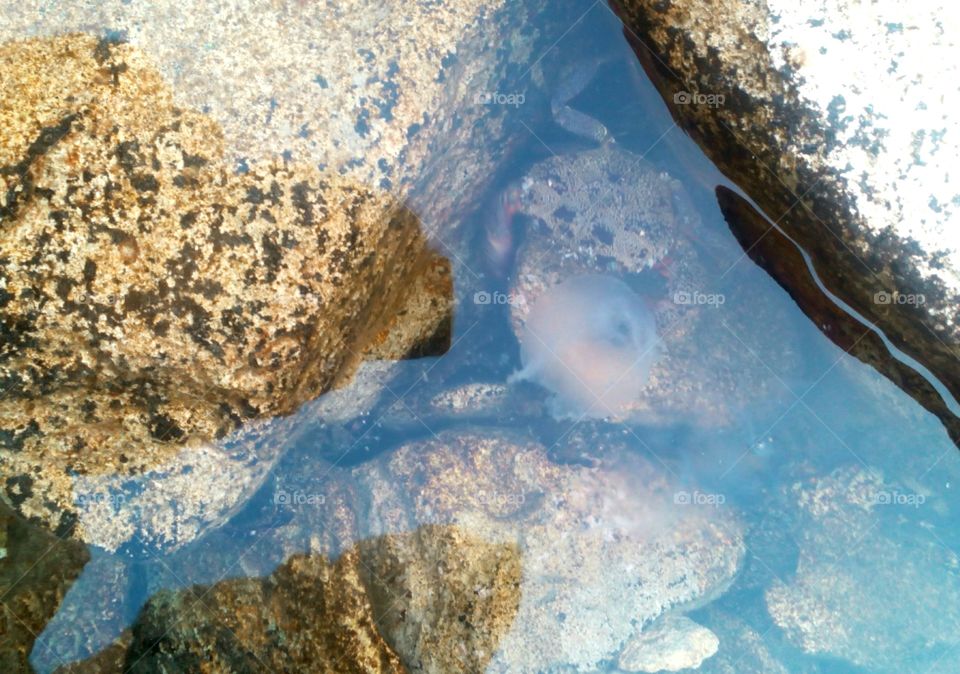 Rock, Nature, No Person, Water, Desktop