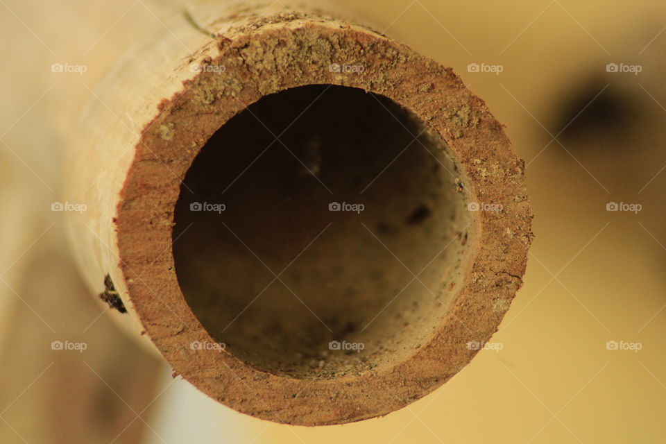 Bamboo hole
