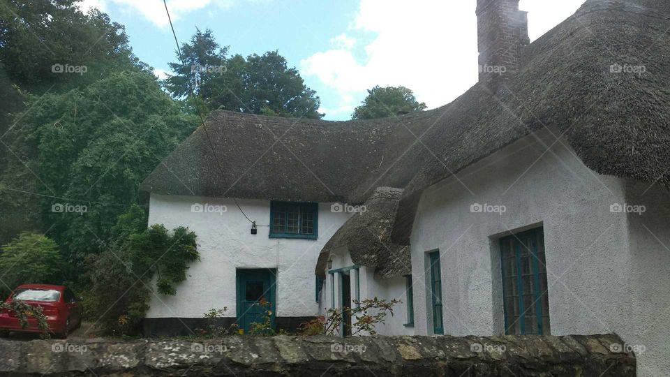 Thatched roof