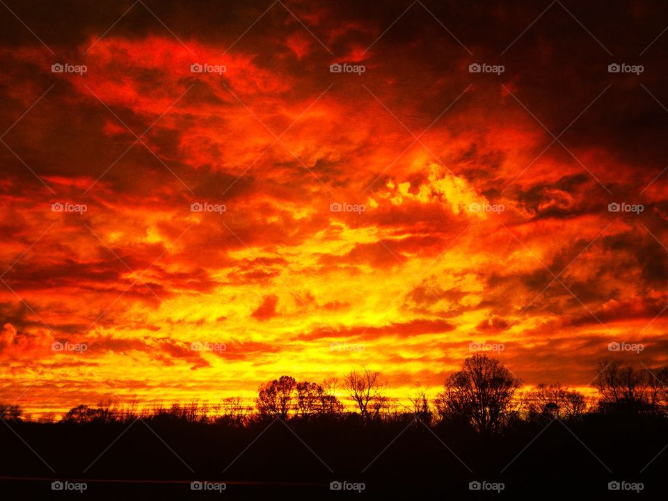 Fire sunset