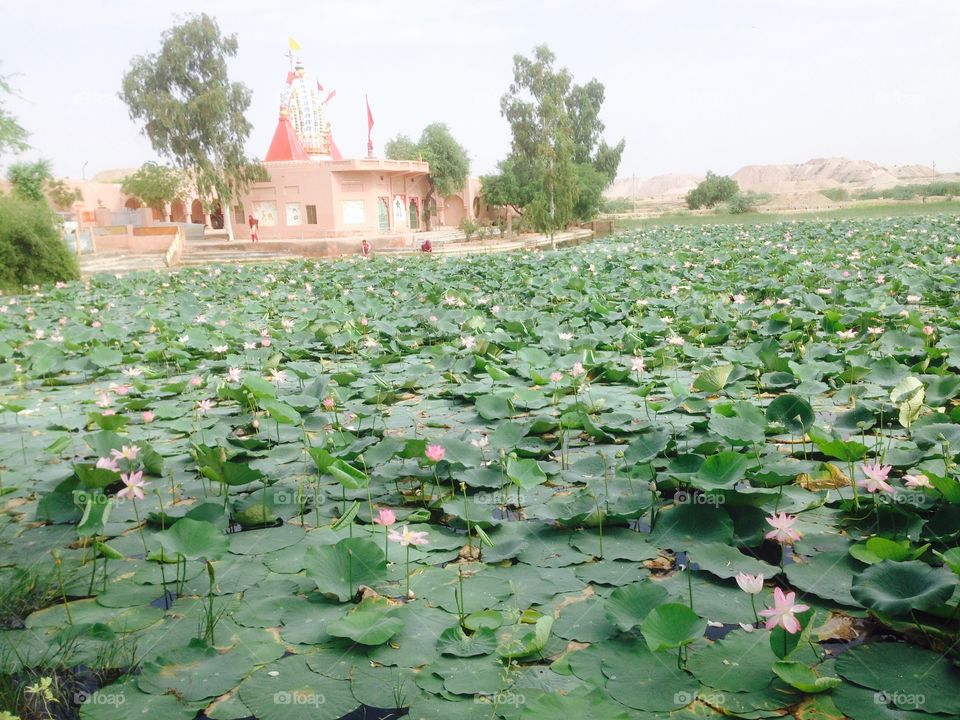 Well located temple in rajasthan and in season many people visit this place.