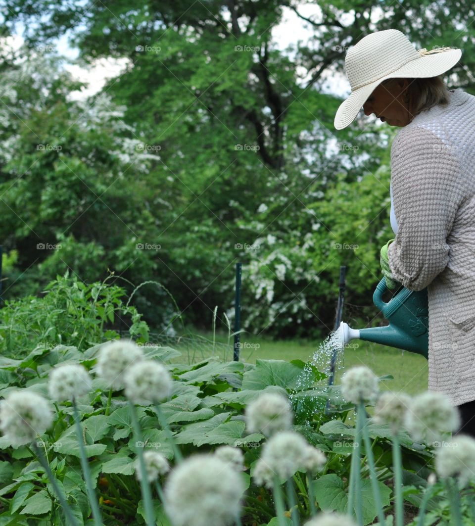 Watering the garden!