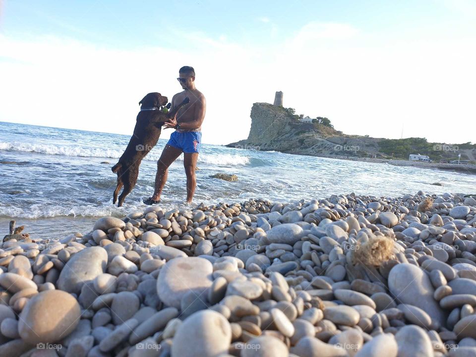 Beach#labrador#dog#canine#sea#play#stones#friendship#chill