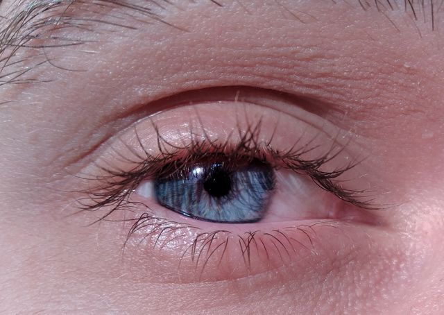 Eyebrow