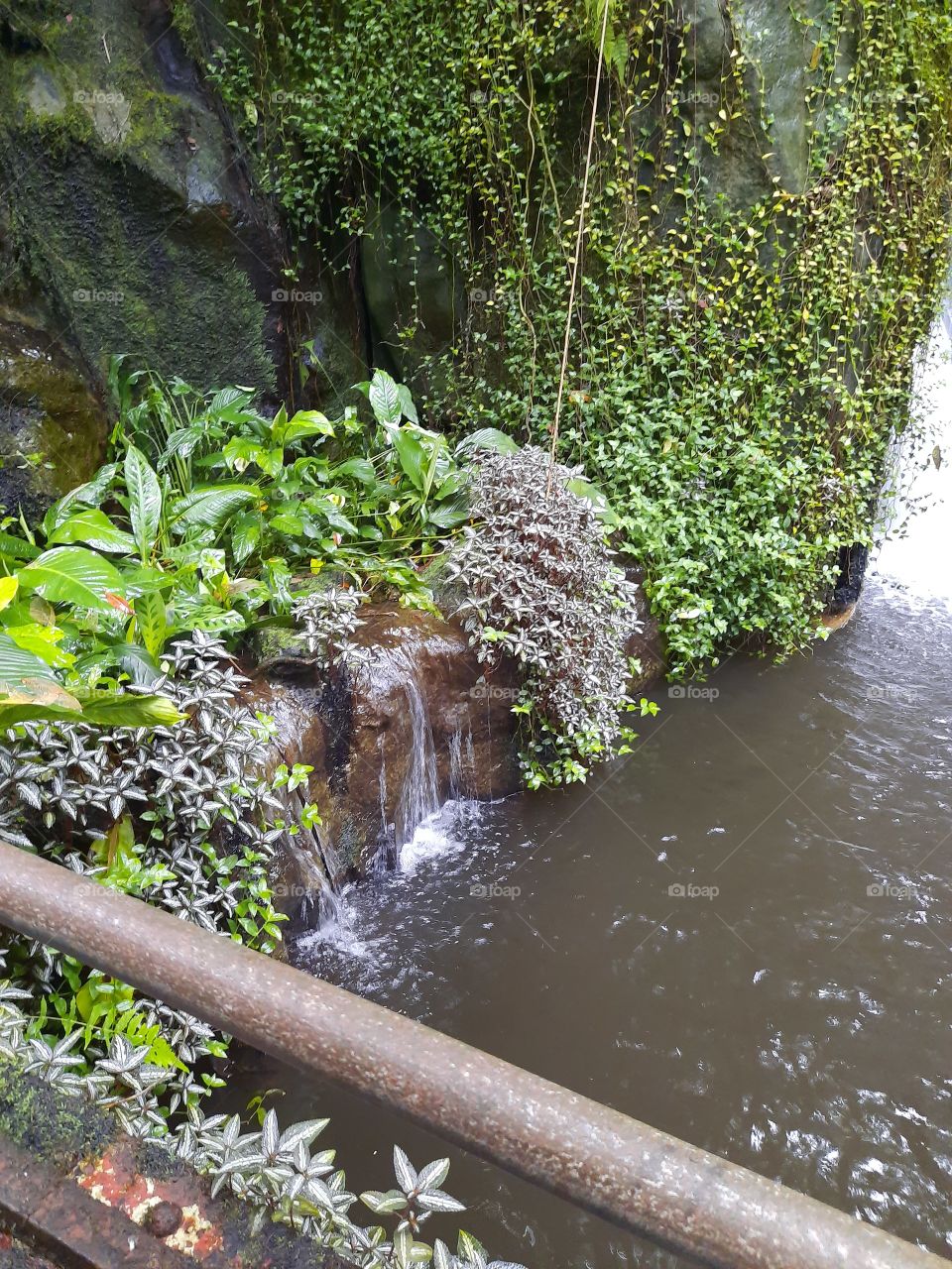 waterfall jungle bridge