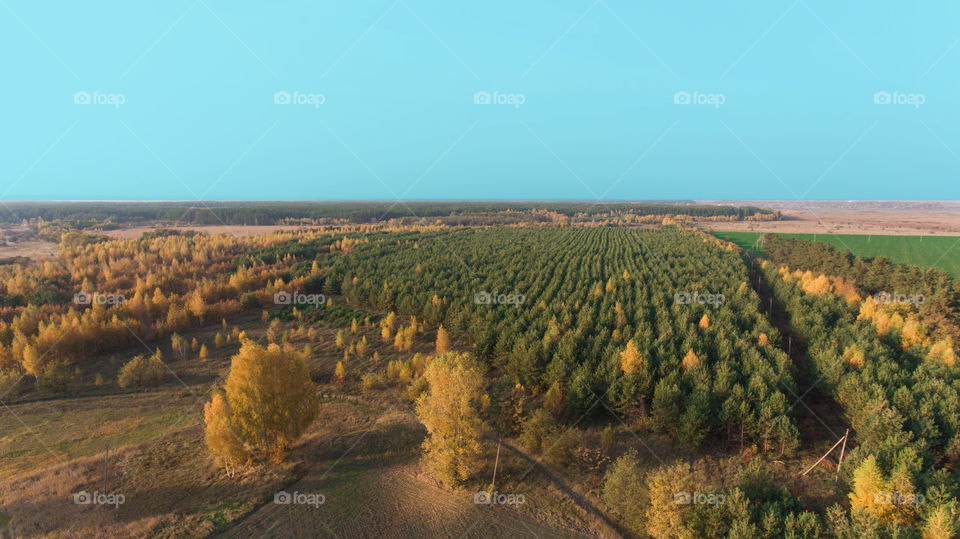 Autumn in Ukraine