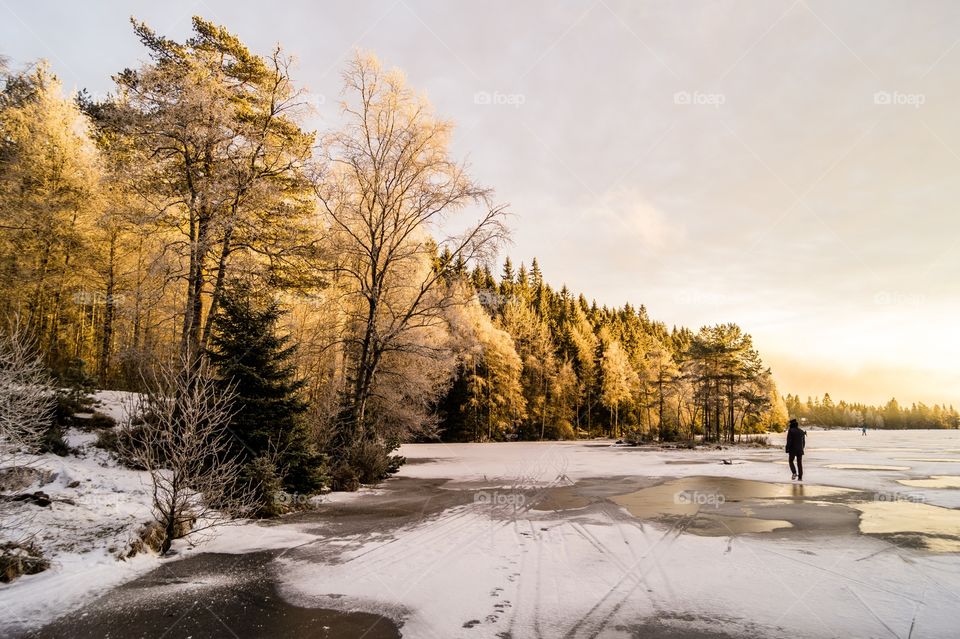 Winter at Steinbruvann. Oslo, Norway. 